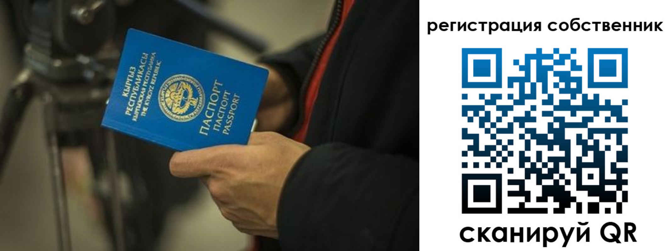 временная регистрация поиск в Никольском